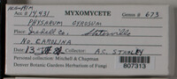 Image Associated With the Occurence